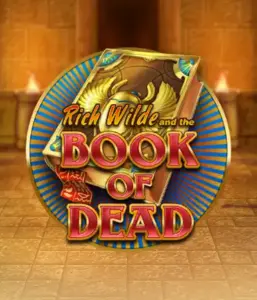 Dive into the thrilling world of Book of Dead by Play'n GO, featuring vivid graphics of Rich Wilde’s adventurous journey through ancient Egyptian tombs and artifacts. Find lost riches with exciting mechanics like free spins, expanding symbols, and a gamble option. Ideal for those seeking adventure with a desire for unearthing secrets.